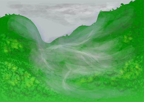 rainforest with cloud and morning dence fog