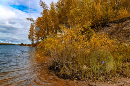 Golden autumn in the month of October in a beautiful forest