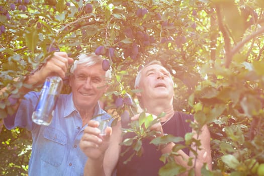 Two excited seniors with bottle of alcohol enjoying sunny day outdoors under the plum tree.