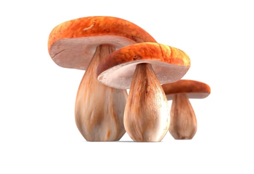 ceps isolated on white background 3d render