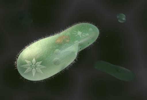 model biological micro organism paramecium caudatum 3d render