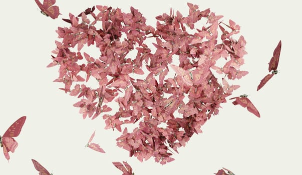 Heart butterfly flight pink on white