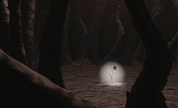 Flower shining growing through soil against spooky tree
