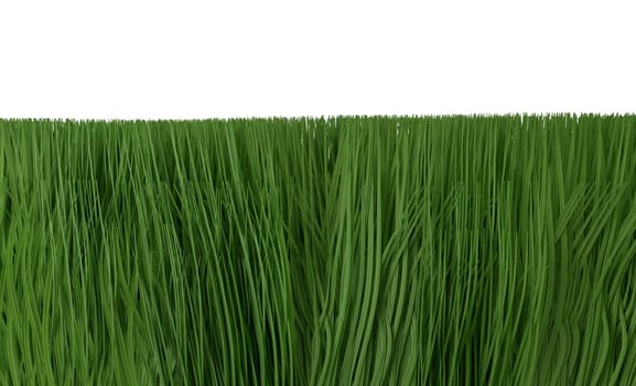 Green grass isolated on white background 3d render