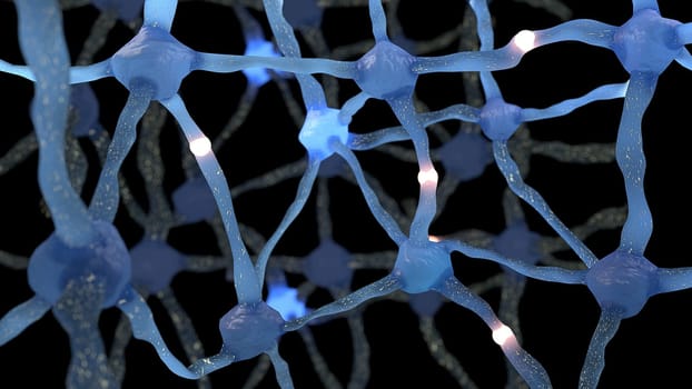 Neuron cells network, neurons system with impulses