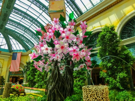 Las Vegas, United States of America - May 05, 2016: The Japanese flowering garden at luxury hotel Bellagio at Las Vegas, United States of America