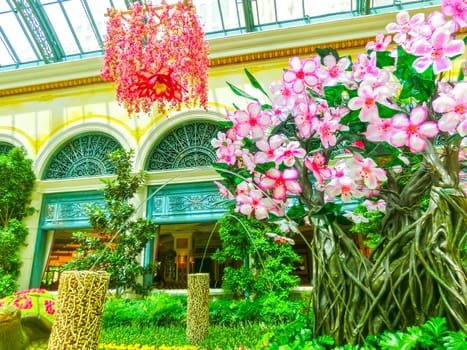 Las Vegas, United States of America - May 05, 2016: The people walking at Japanese flowering garden at luxury hotel Bellagio at Las Vegas, United States of America