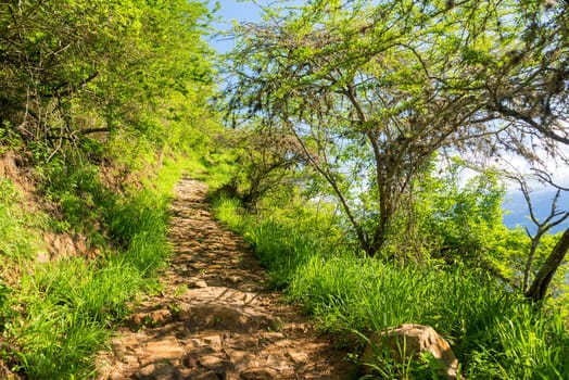 Footpath running between Barichara and Guane in Colombia