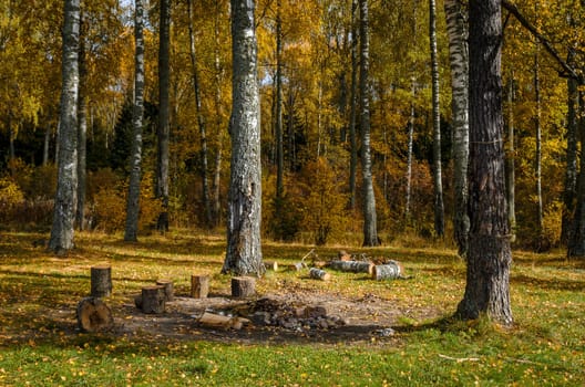 Deciduous in autumn season in the month of October