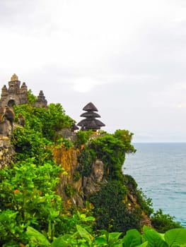 The ocean, waves, monkeys at Uluvatu Bali Indonesia
