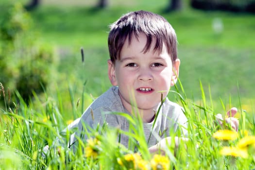 Portrait of a happy little boy in the park
