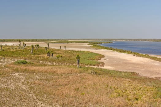 Shore Habitat of a Gulf Coast Refuge in the Luguna Atascosa Wildlife Refuge in Texas