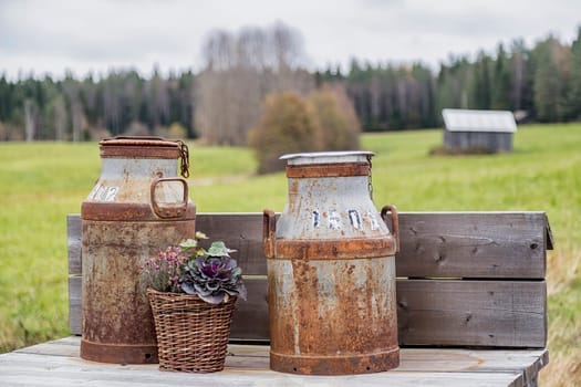 Old Milk Cans with barn in the background.