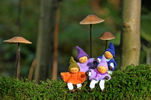 Four little elves sit in the moss under mushrooms