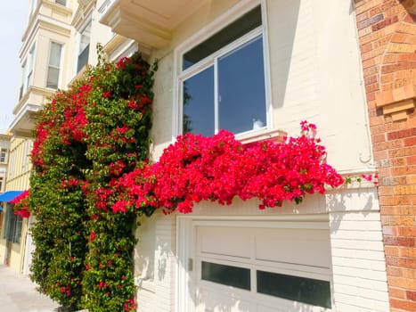 The tipical buildings at San Francisco, USA