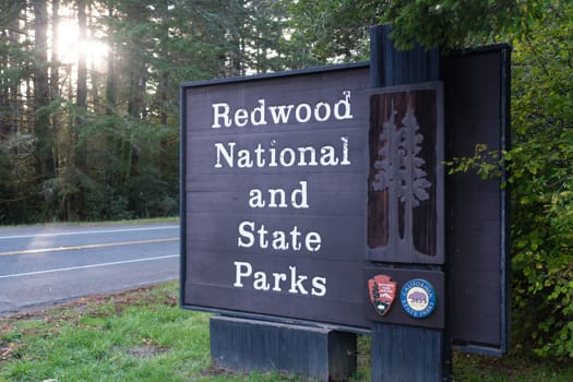 A sign designating the boundary of Redwood National Park