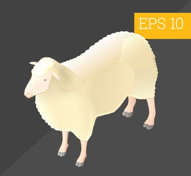 sheep eps10 vector 3d illustration. jumbuck flat