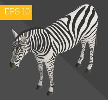 zebra eps10 vector 3d illustration. wildlife african mammal