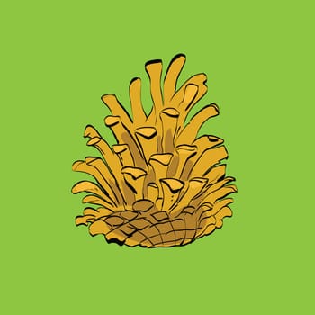 Christmas-tree pine cone, color vector illustration. Christmas holiday and New year