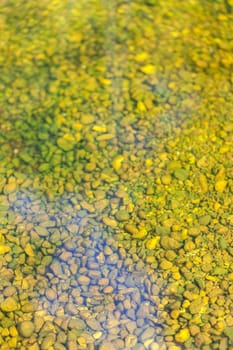 Stones covered with algae under water - Artists' supplies