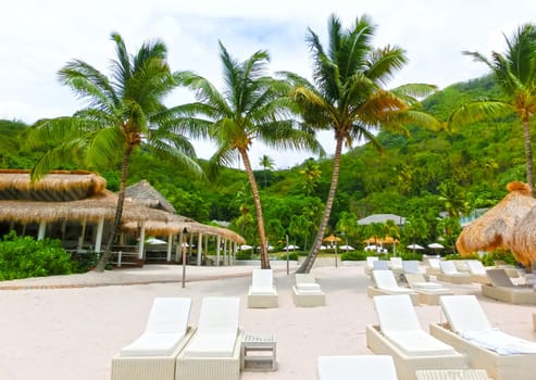 Beautiful white sand beach in Saint Lucia, Caribbean Islands