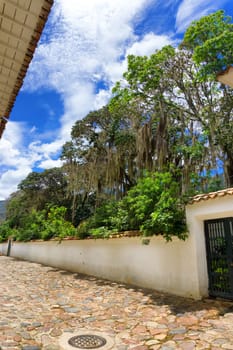 Cobblestone street in Villa de Leyva, Colombia with lush green foliage