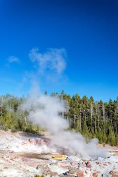 Vertical view of Steamboat Geyser in Yellowstone National Park
