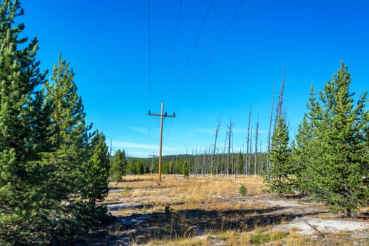 Power lines running through Norris Geyser Basin in Yellowstone National Park