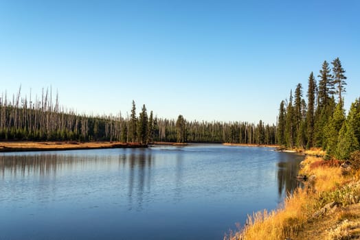 Landscape view of the Snake River in Yellowstone National Park