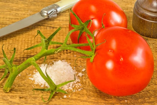 Shrub Tomatoes