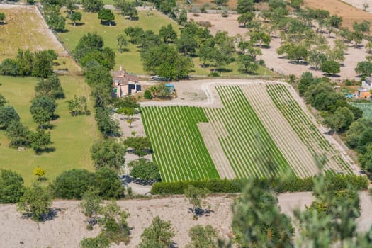 Vogel's perspective on different fields,Mallorca,Spain.