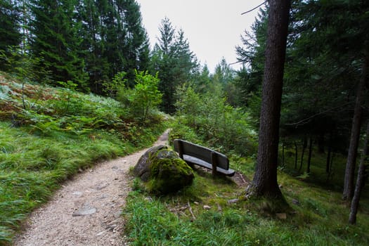 Panoramic view of a pathway in Seiser Alm