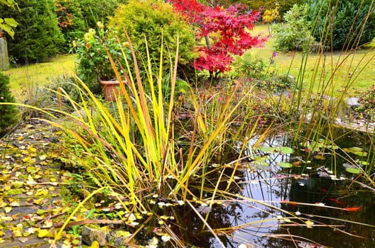 colorful autumn in the garden by a pond with a Buddha