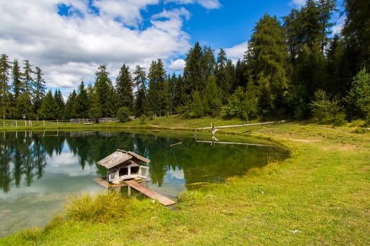 View a small house for ducks in the small lake of Marinzen Alm