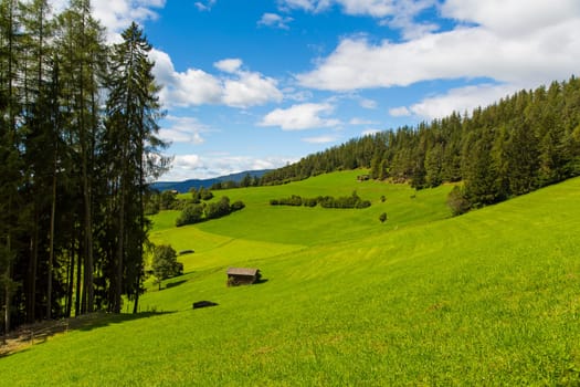 View a portion of the valley in Seiser Alm with green fields and blue sky
