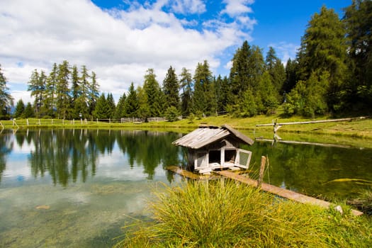 View a small house for ducks in the small lake of Marinzen Alm