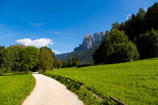 View of a passable trail walk with green fields and mountain range in the background and bllue sky