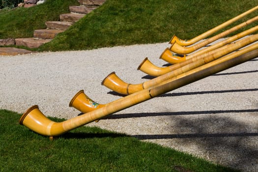 Top view of Alpine horns on green grass