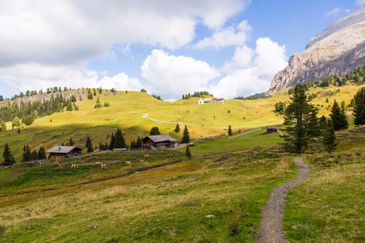 Mountain landscape with path, huts and grazing cows on a sunny day