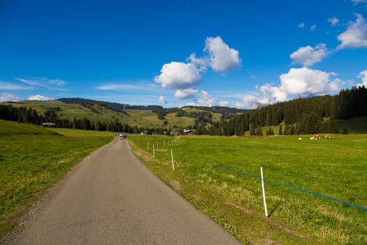 Hiking trail between green fields blue sky with clouds