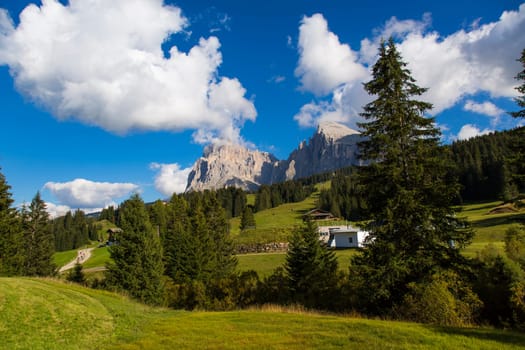 mountain landscape with trees, blue sky, clouds and mountain range on the background