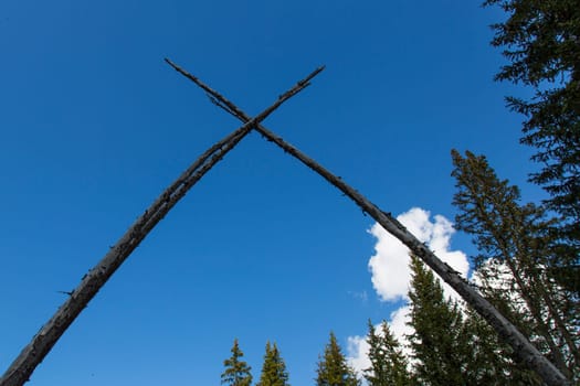 View of two crossed logs under a blue sky with trees on the right