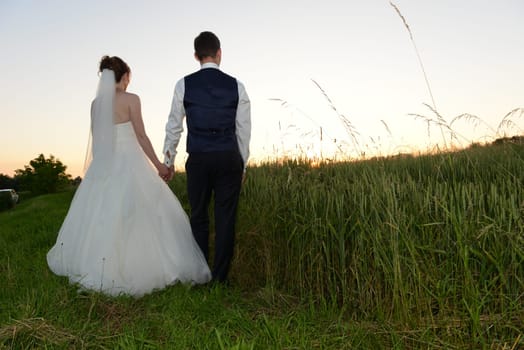 Bridal couple in the sunset from behind