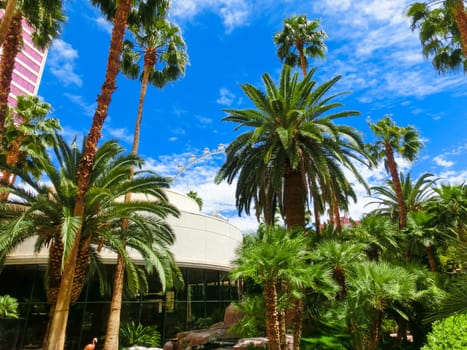 Las Vegas, United States of America - May 05, 2016: Flamingo Hotel and Casinoon the Strip in Las Vegas, Nevada. Opened in 1946, the hotel has 3,626 rooms and the casino 77,000 square feet of gaming space.