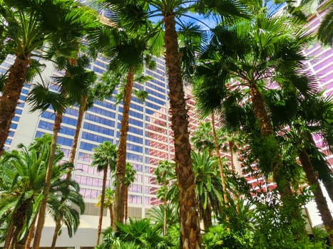 Las Vegas, United States of America - May 05, 2016: Flamingo Hotel and Casinoon the Strip in Las Vegas, Nevada. Opened in 1946, the hotel has 3,626 rooms and the casino 77,000 square feet of gaming space.