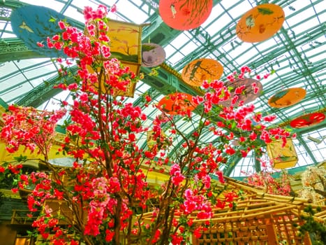 Las Vegas, United States of America - May 05, 2016: The Japanese flowering garden at luxury hotel Bellagio at Las Vegas, United States of America
