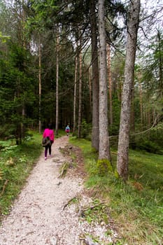 View a path in Seiser Alm with hikers