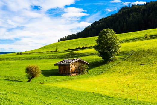 View of an alpine warehouse in a green meadow in Seiser Alm