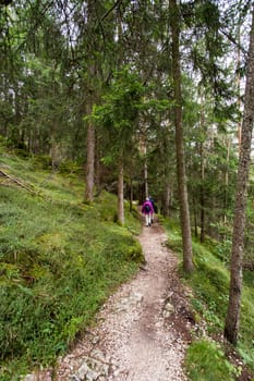 View a path in Seiser Alm with hikers