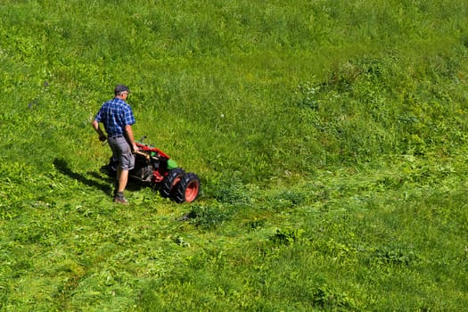 View of a thresher while mower in Seiser Alm